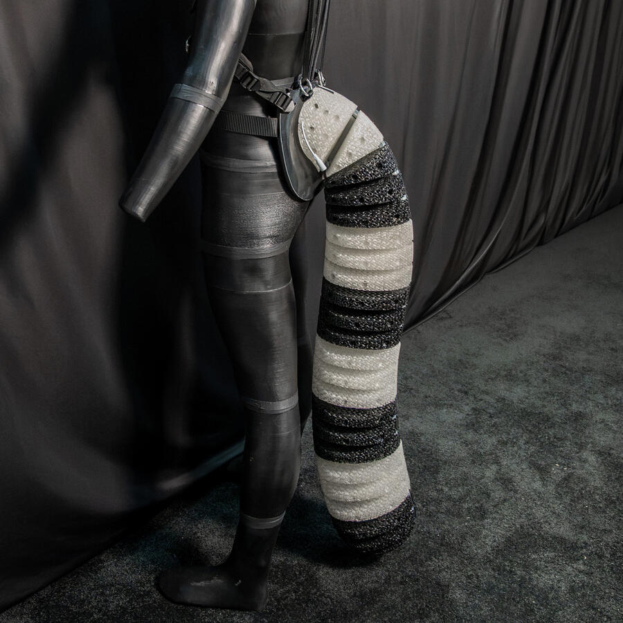 Raccoon Tail Mk. 2