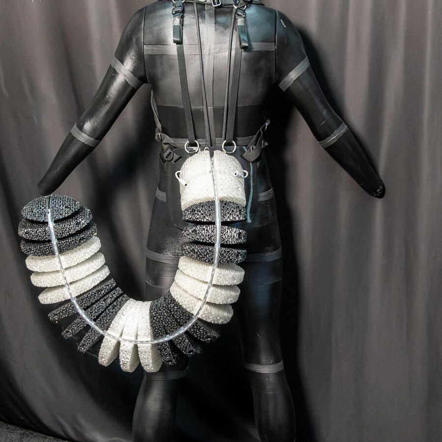Raccoon Tail Mk. 2