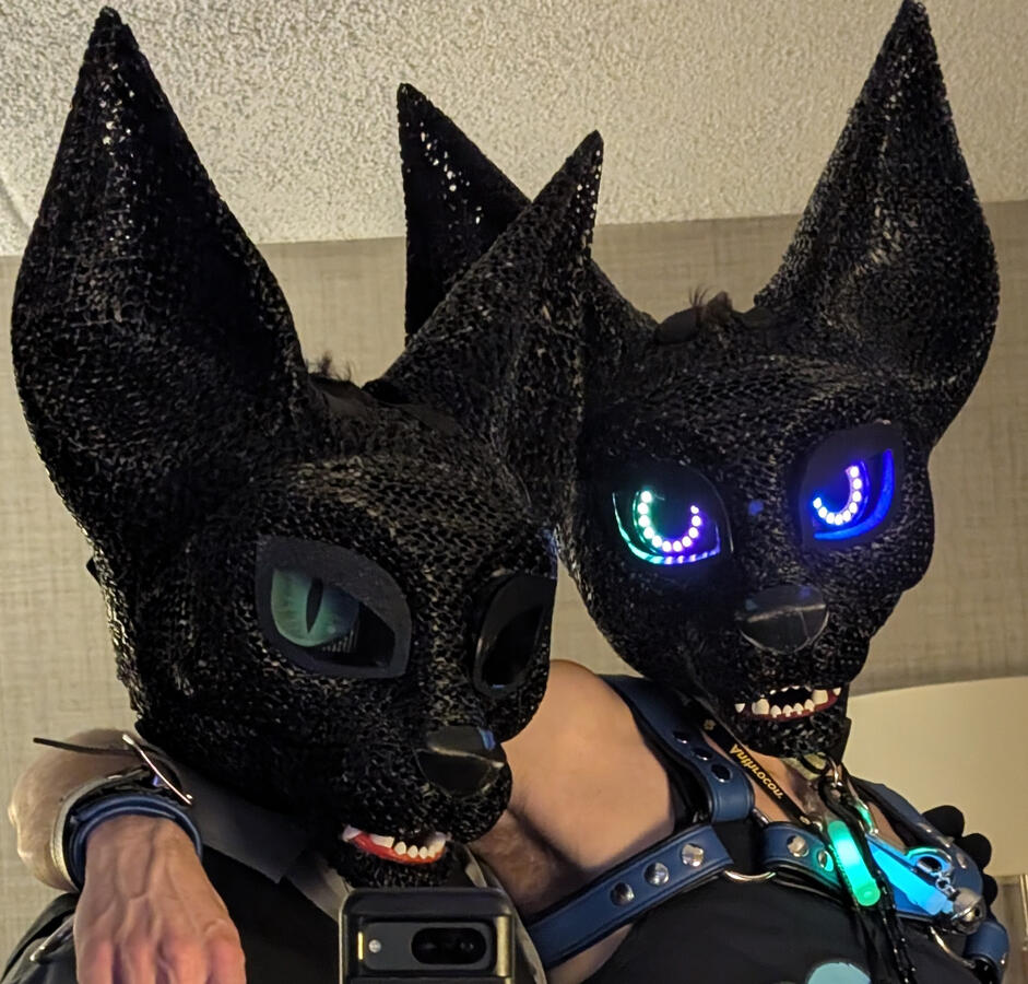 Caracal Mk.1 (Twins!)