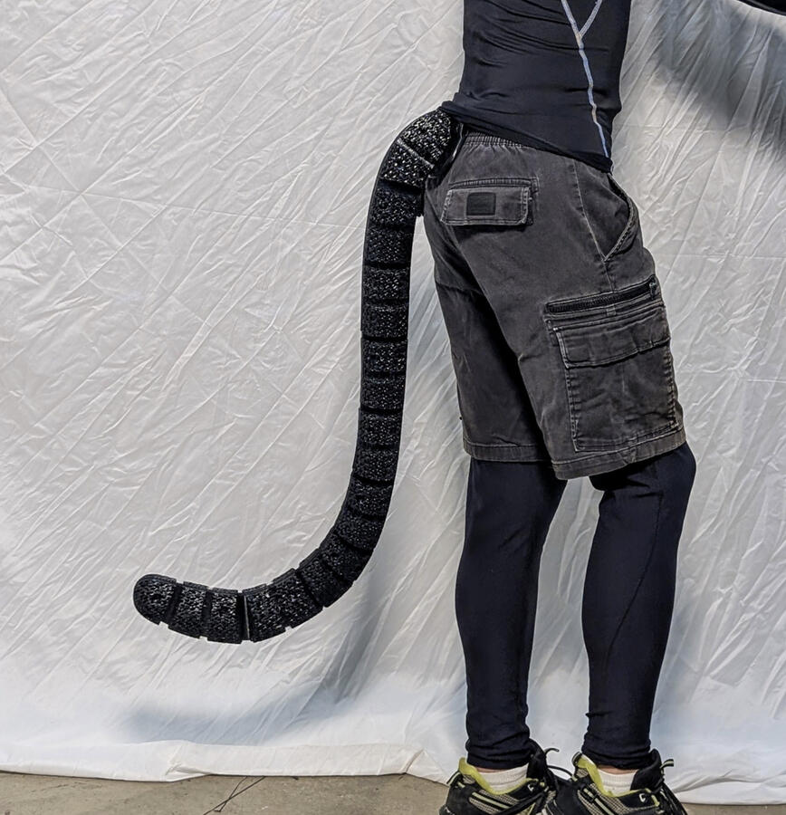 Cat Mk.1