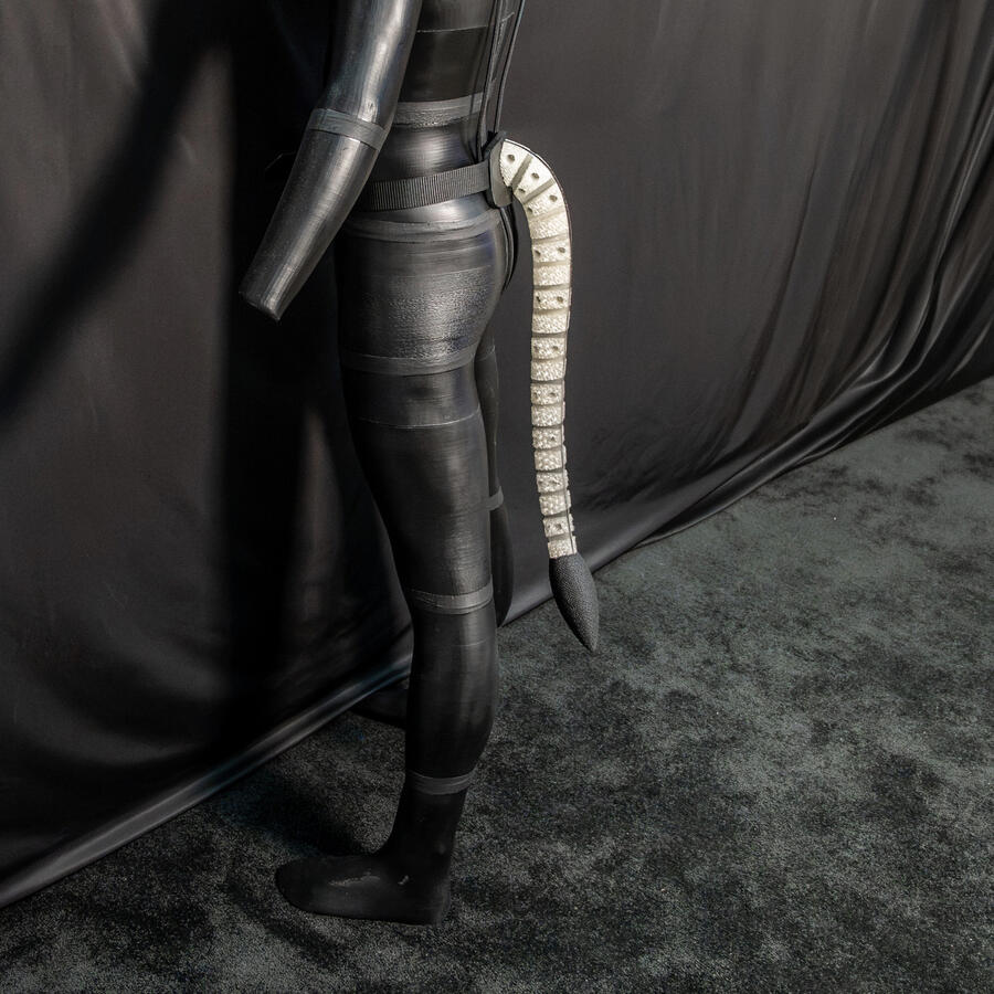 Lioness Tail Mk. 1