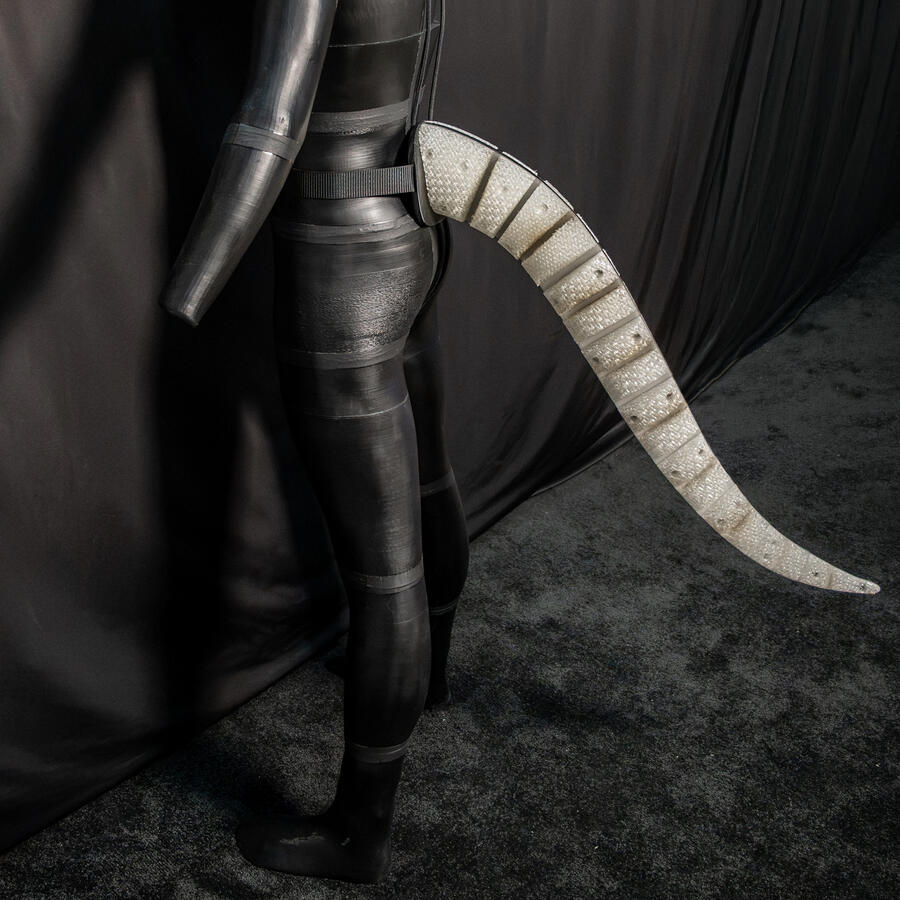 Lizard Tail Mk. 1